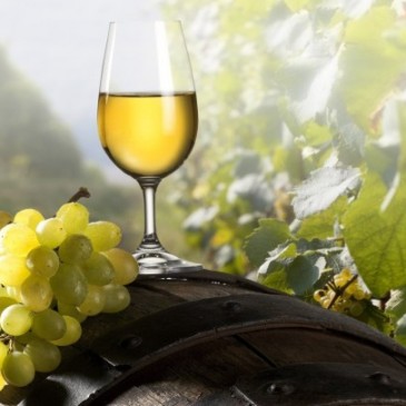 Chardonnay – ett vin som kräver rätt mat?
