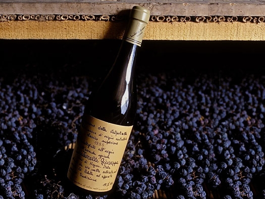 Amarone – världens främsta rödvin?